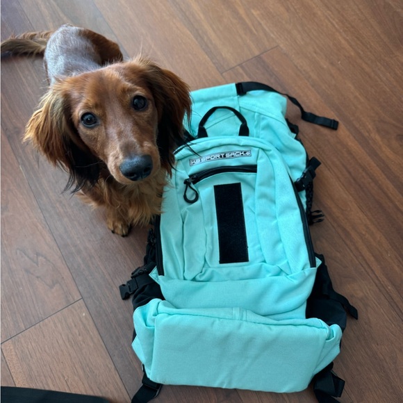 K9 Sports Sack Plus 2 | Dog Carrier with Removable Storage - Large - Picture 1 of 9